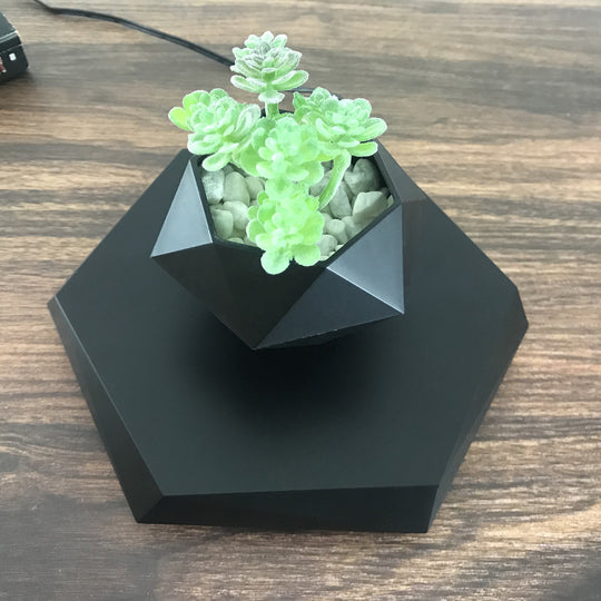 Levia™ | The Levitating Zen Planter ✨