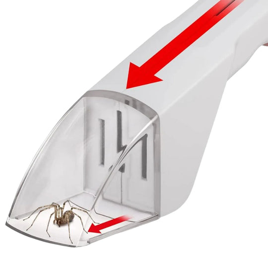 Portable Transparent Insect Catcher 🐞🦋
