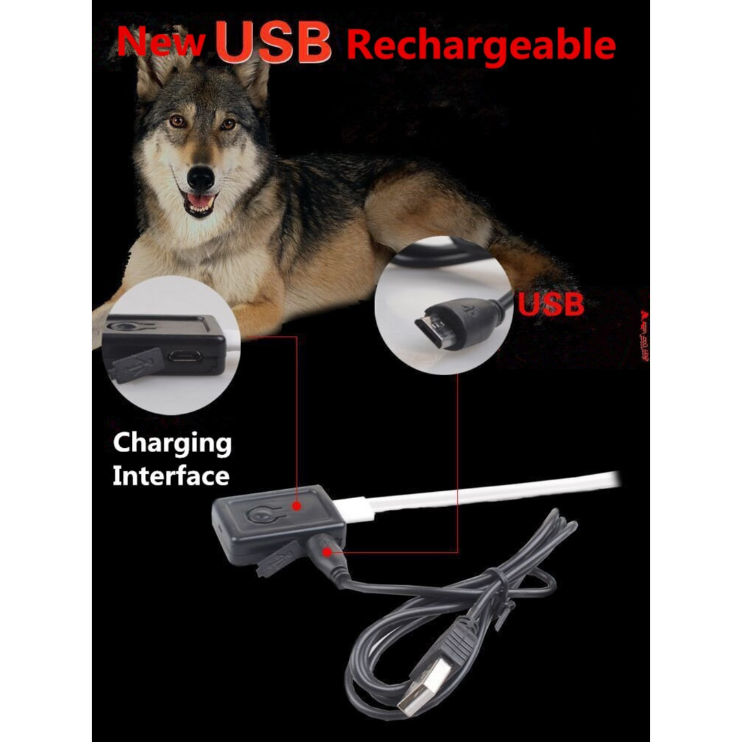 GlowGuard™ Rechargeable LED Dog Collar ✨