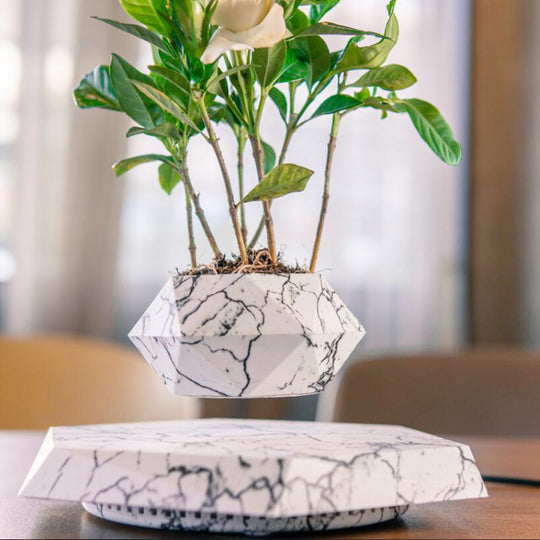 Levia™ | The Levitating Zen Planter ✨